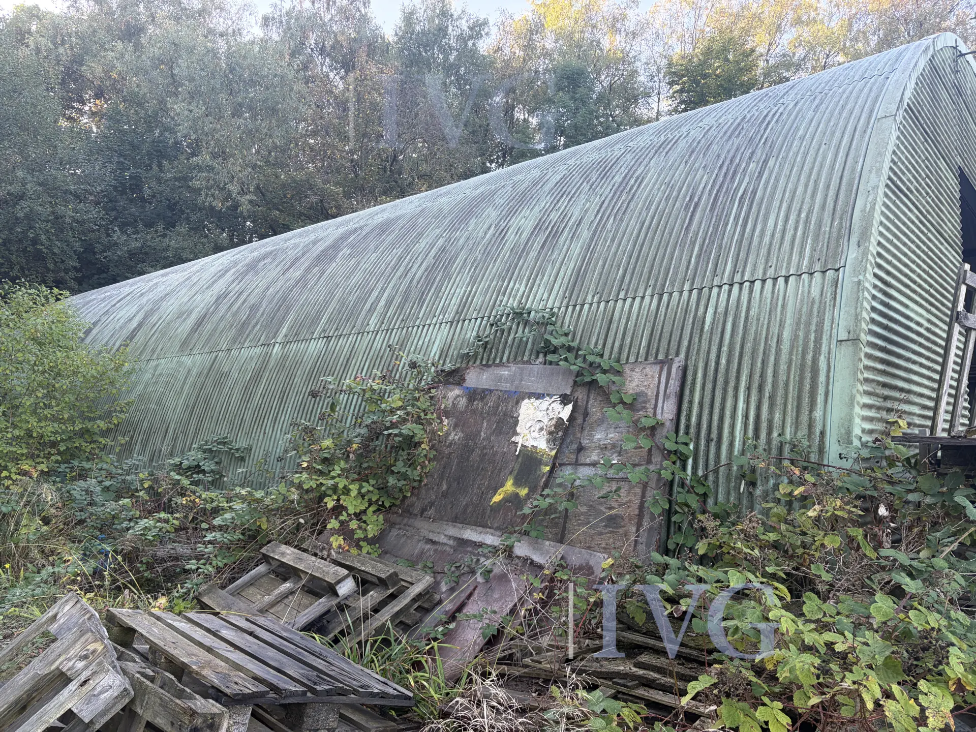 Bild 12
