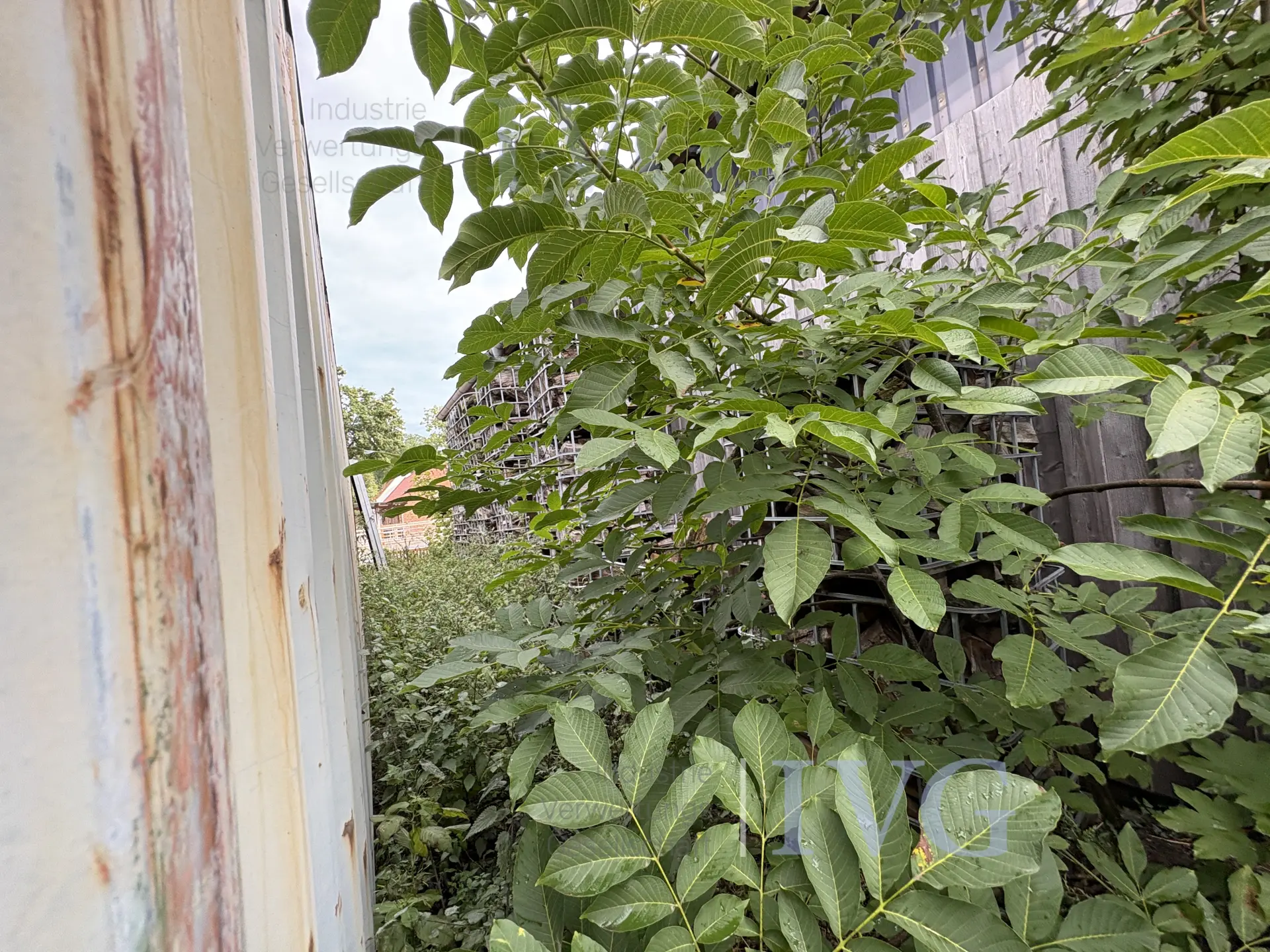 Gitterboxen Brennholz – foto 6 – kavel bij IVG, Glandorf