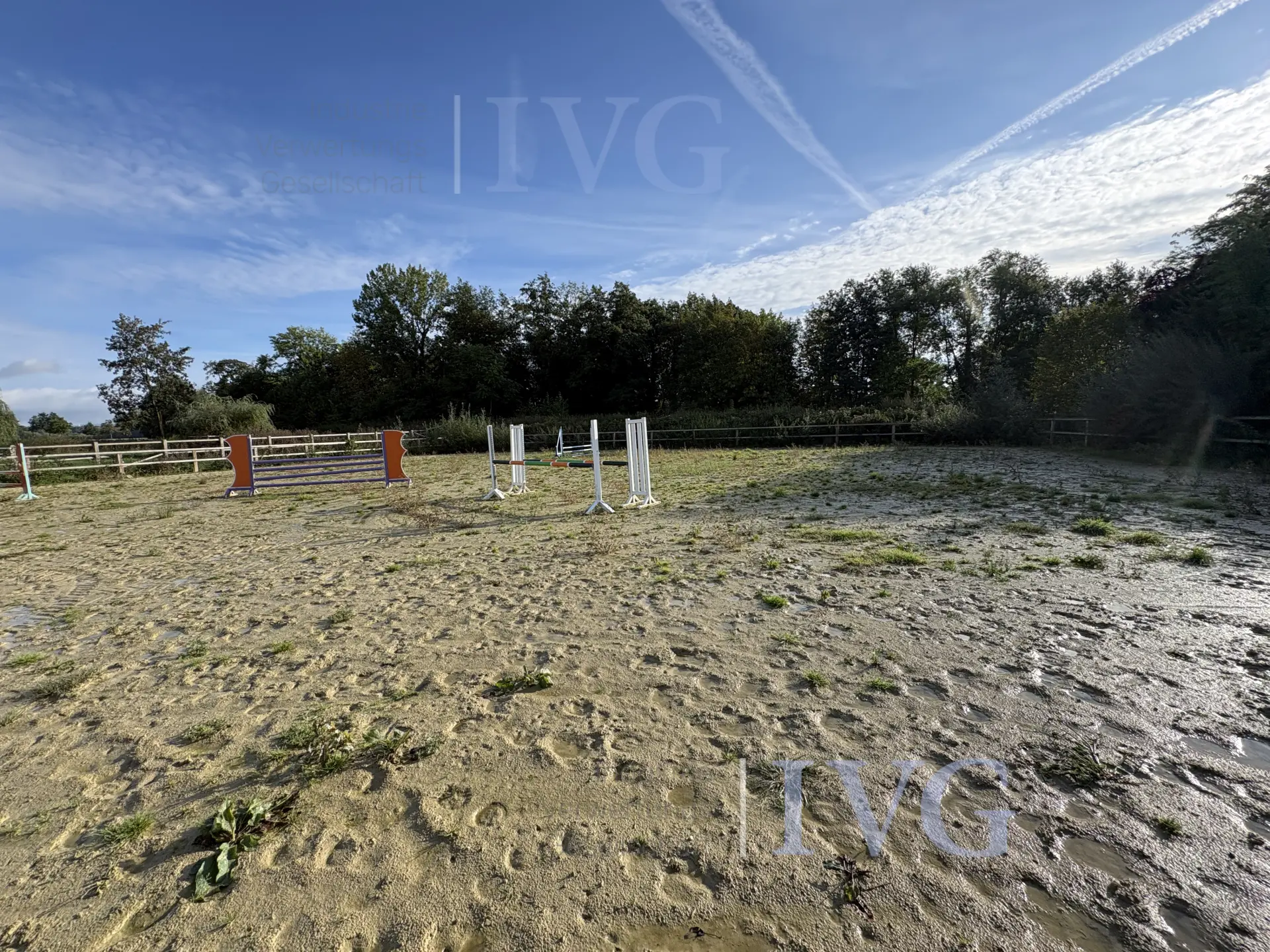 Bild 15