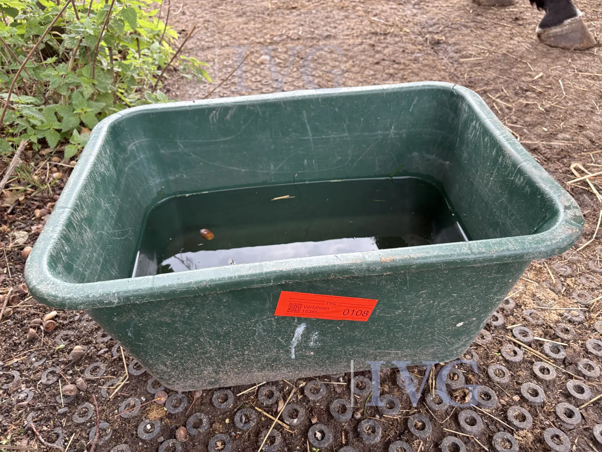 Waterbak (groen) – foto 5 – kavel bij IVG, Glandorf