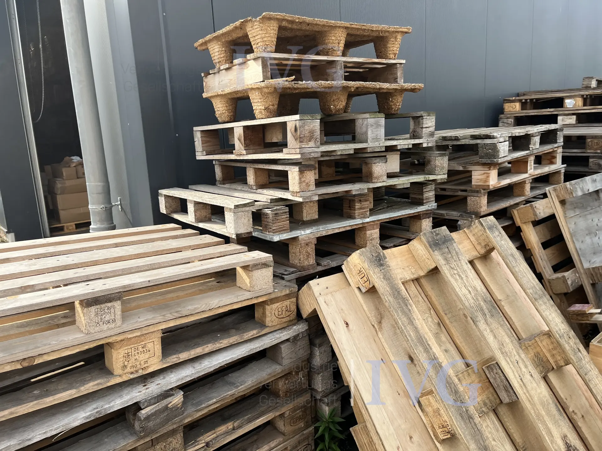 Bild 5