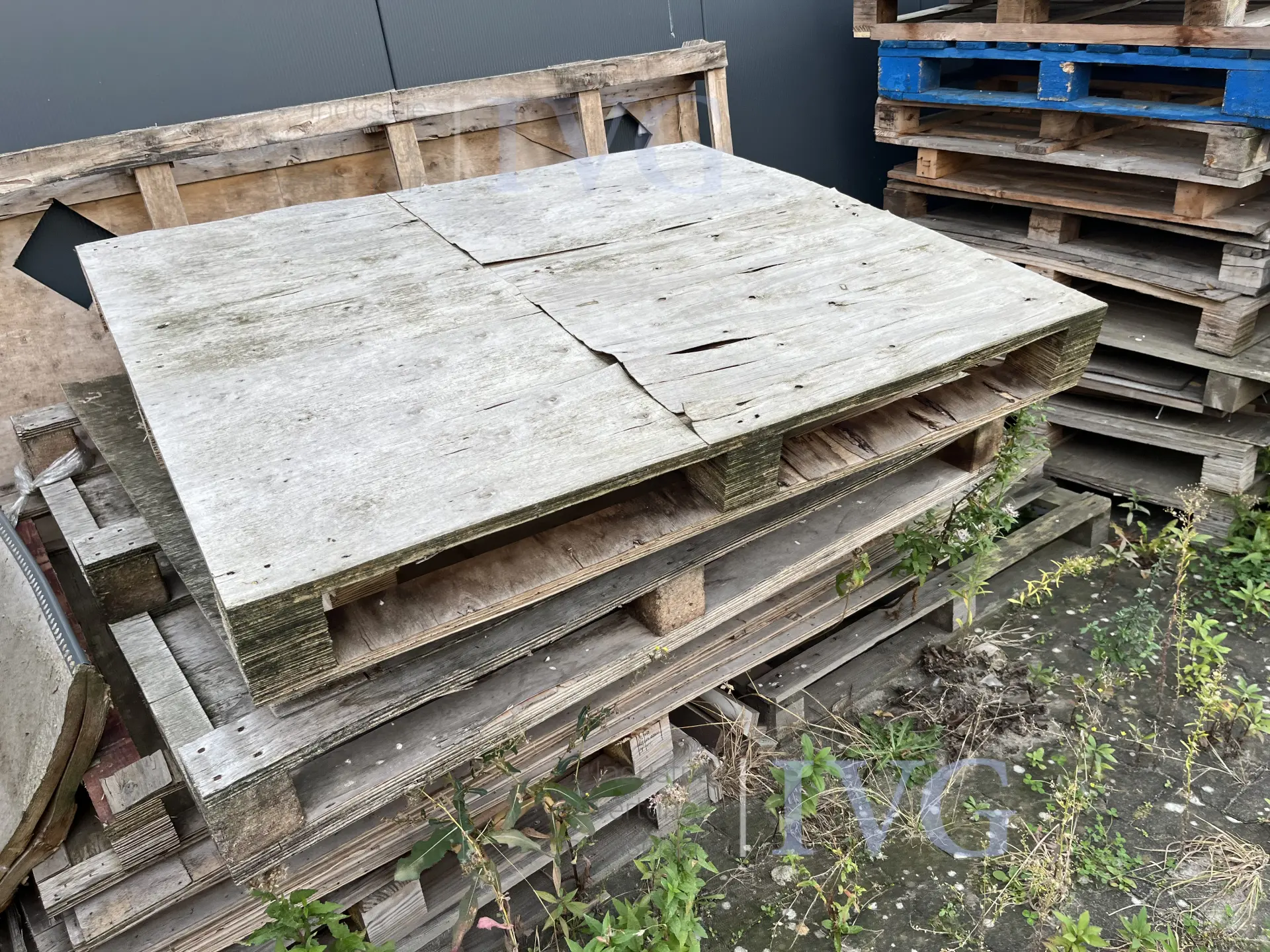 Bild 8