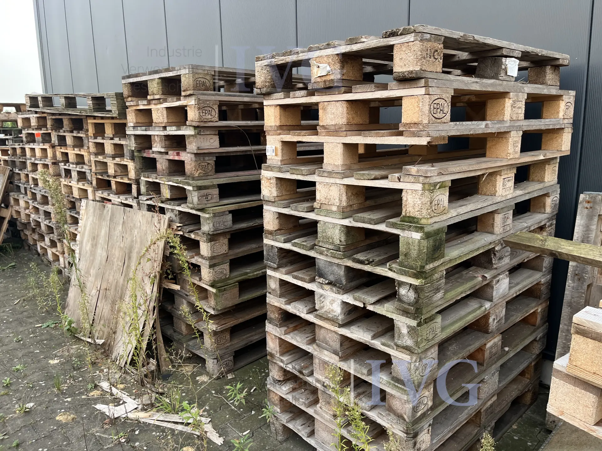Posten Euro-Paletten – foto 3 – kavel bij IVG, Emsdetten
