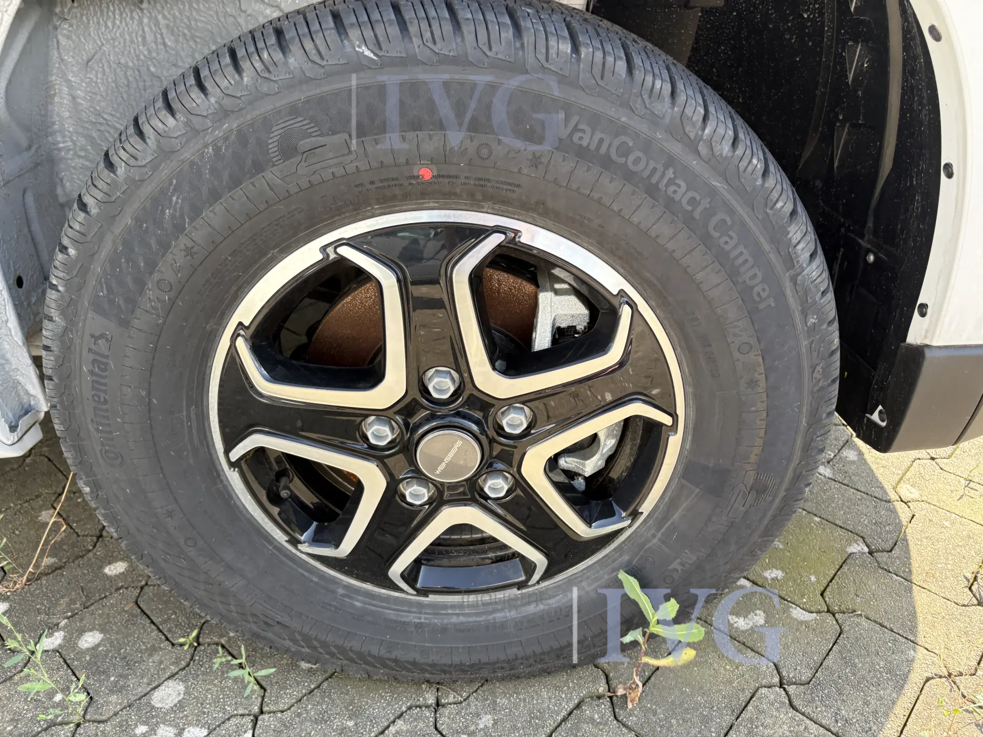 Bild 19