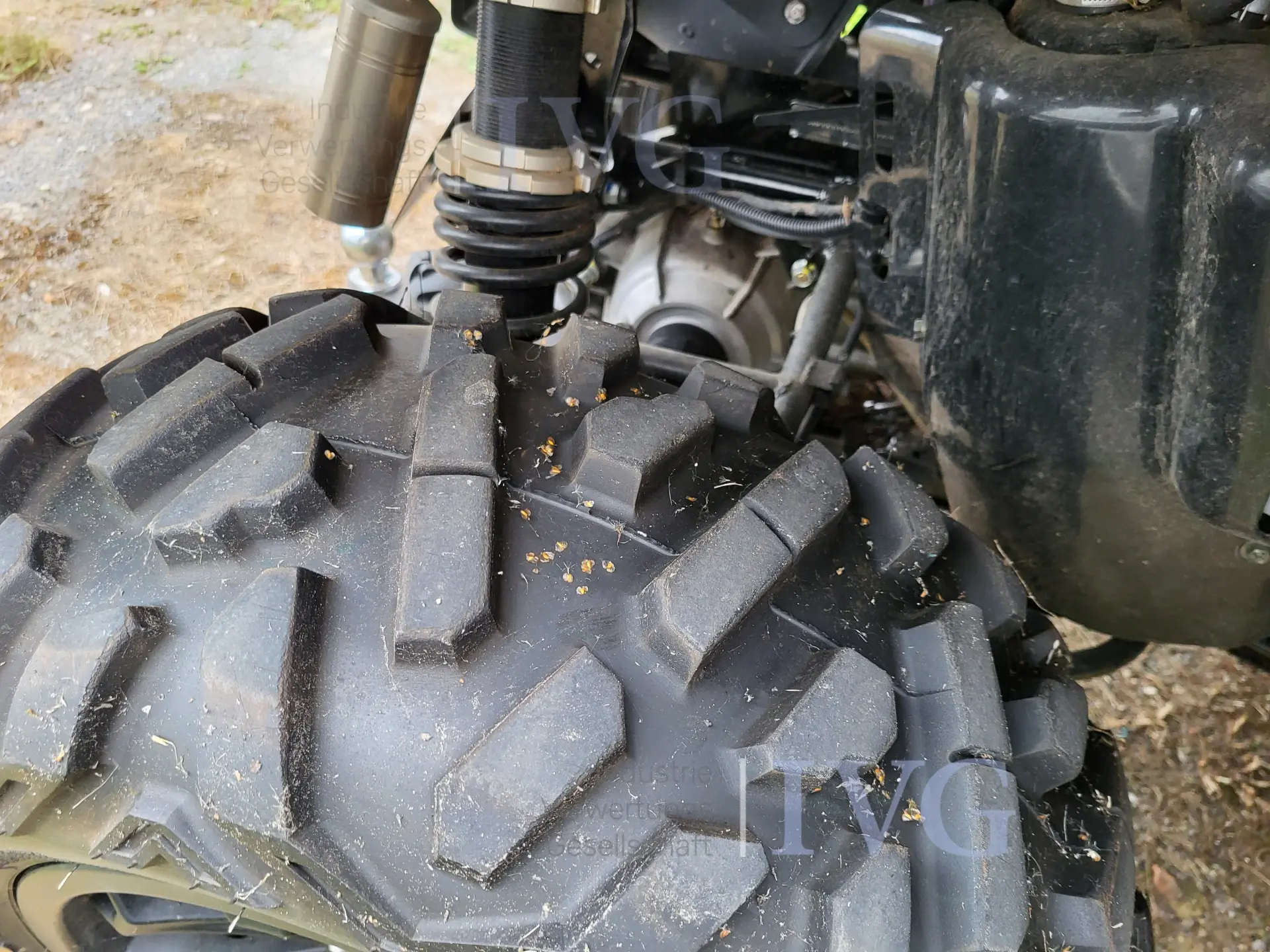 LOF. ZUGM. Landbouwtractor TBG Blade 1000 EFI EPS – foto 16 – kavel bij IVG, Kirchlengern
