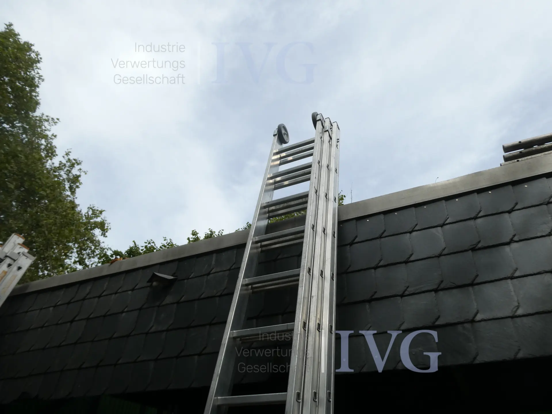 WEISE aluminium uitschuifbare ladder – foto 5 – kavel bij IVG, Oberhausen