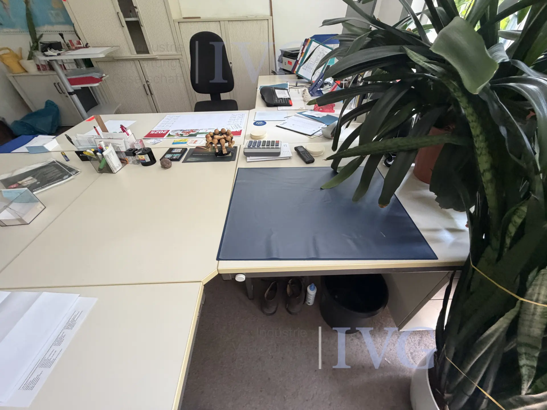 Bild 19