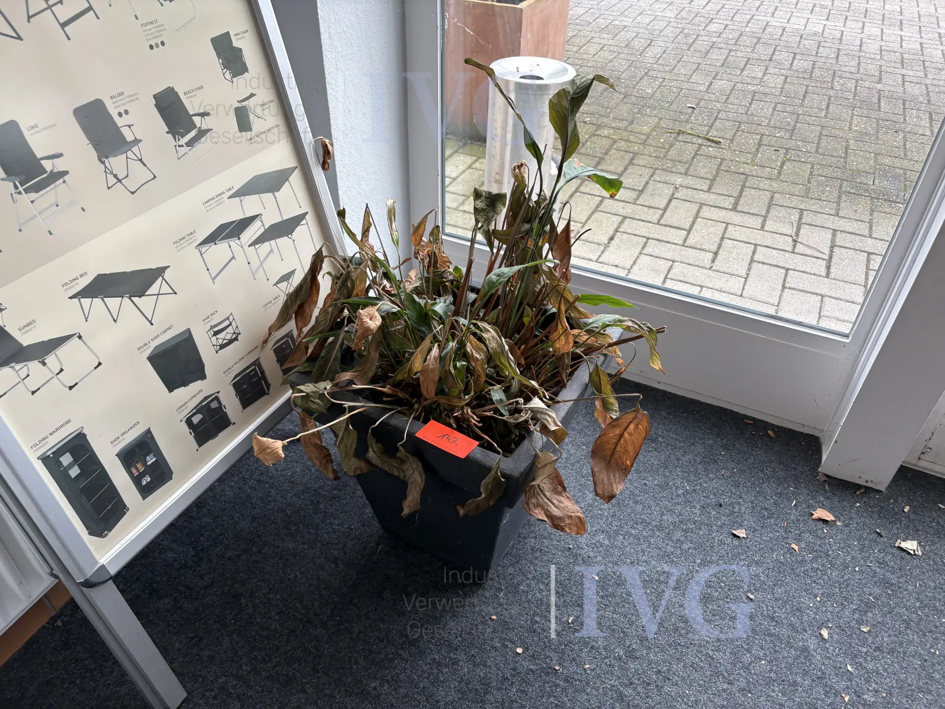 Bild 11