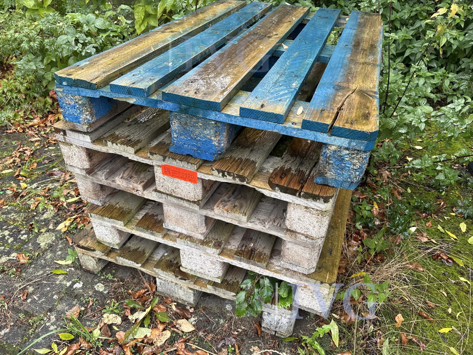 image 4