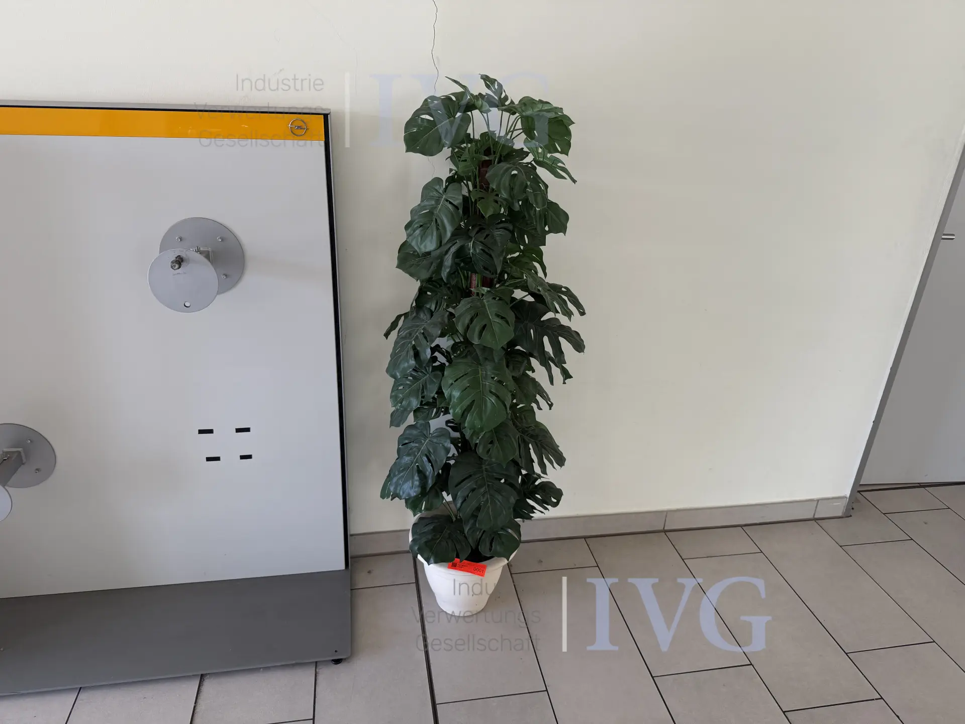 Bild 6