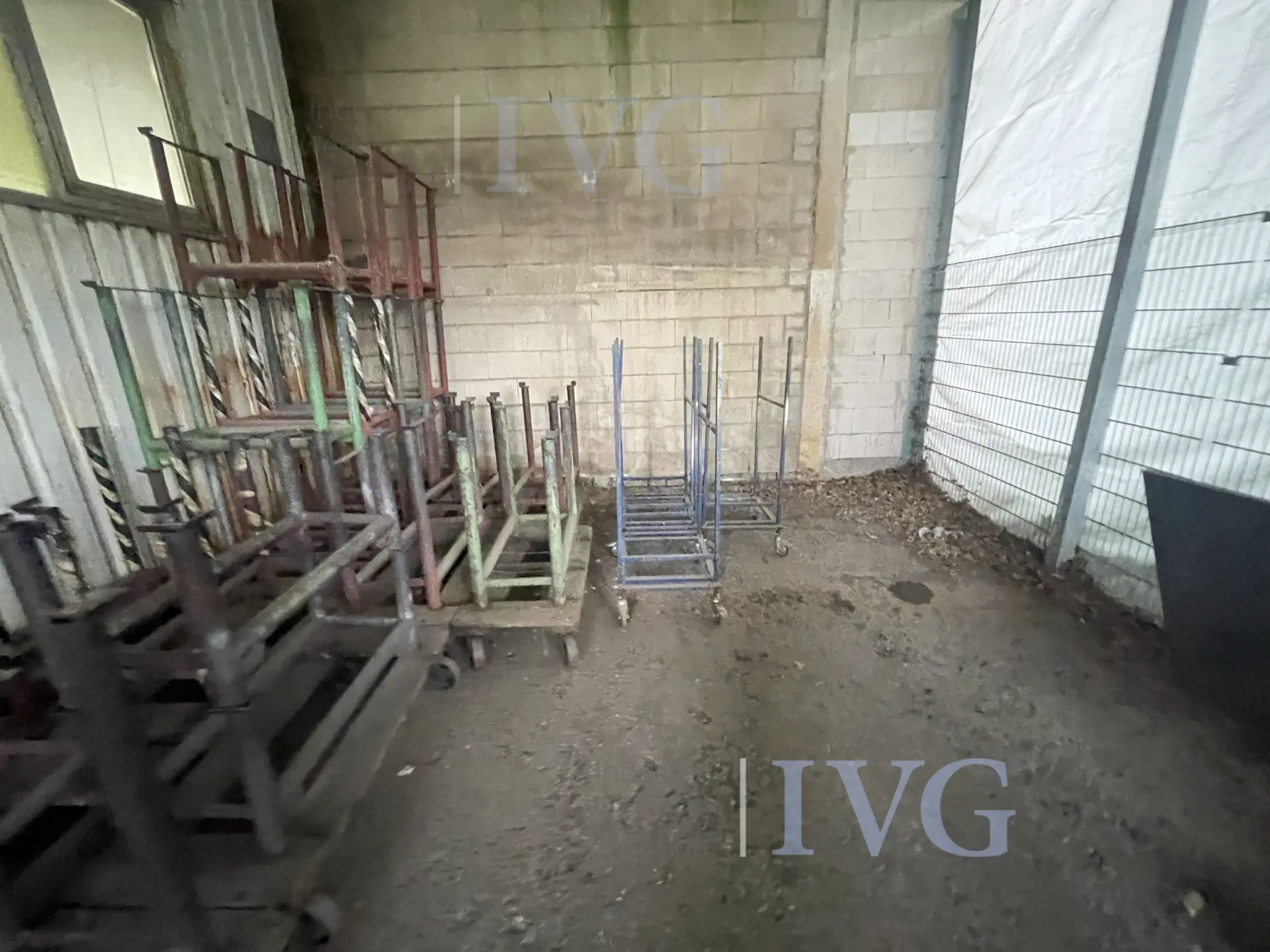Bild 12