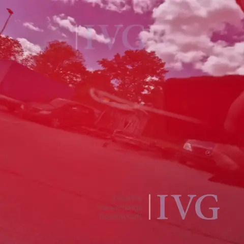 Thumbnail 19
