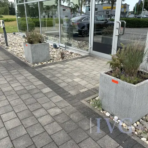 Topfpflanzen