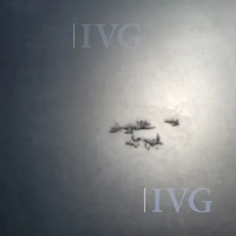 Thumbnail 41