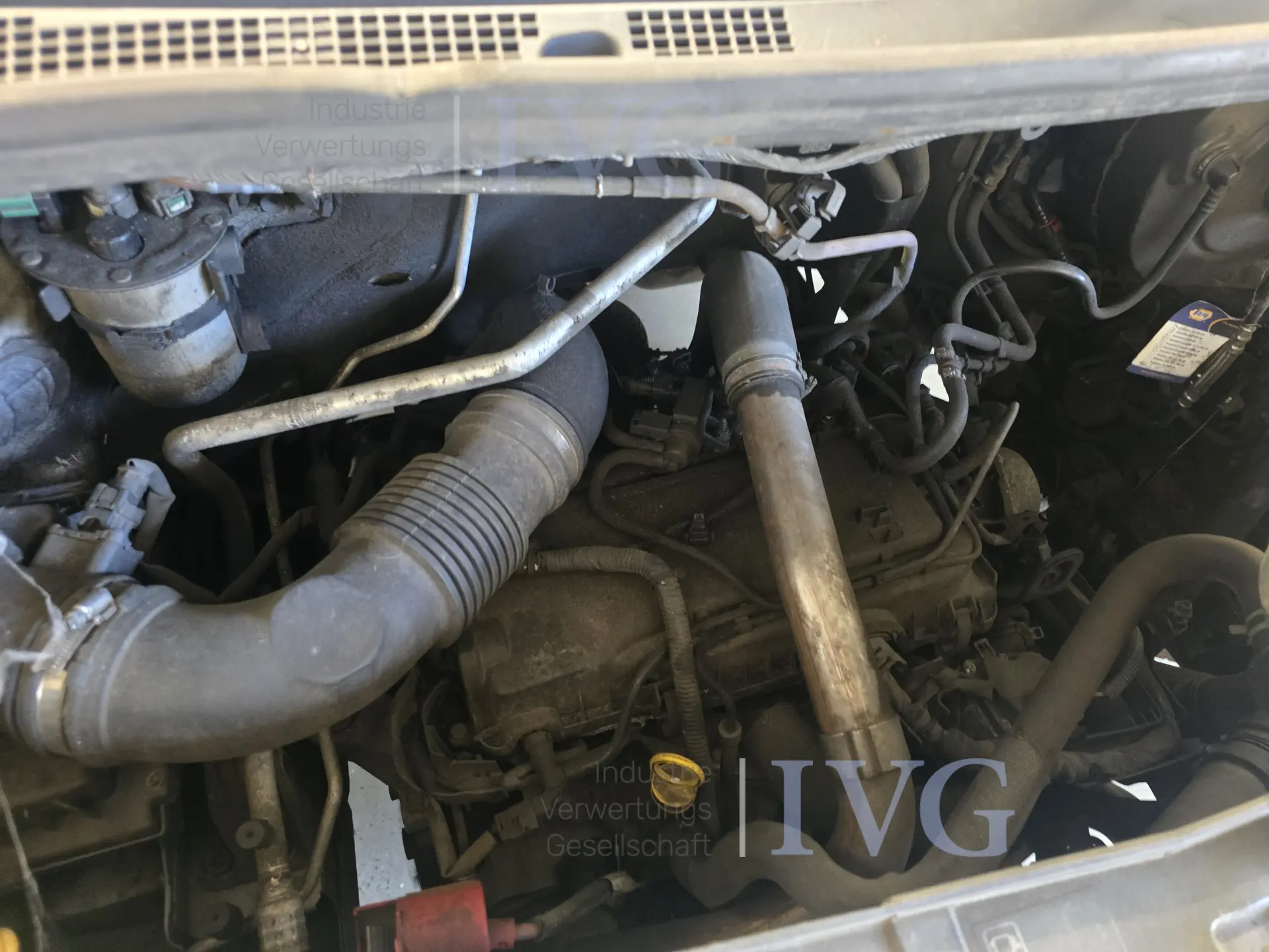 BA geschlossener Kasten RENAULT Master Flexbox 2.3 – foto 6 – kavel bij IVG, Kirchlengern