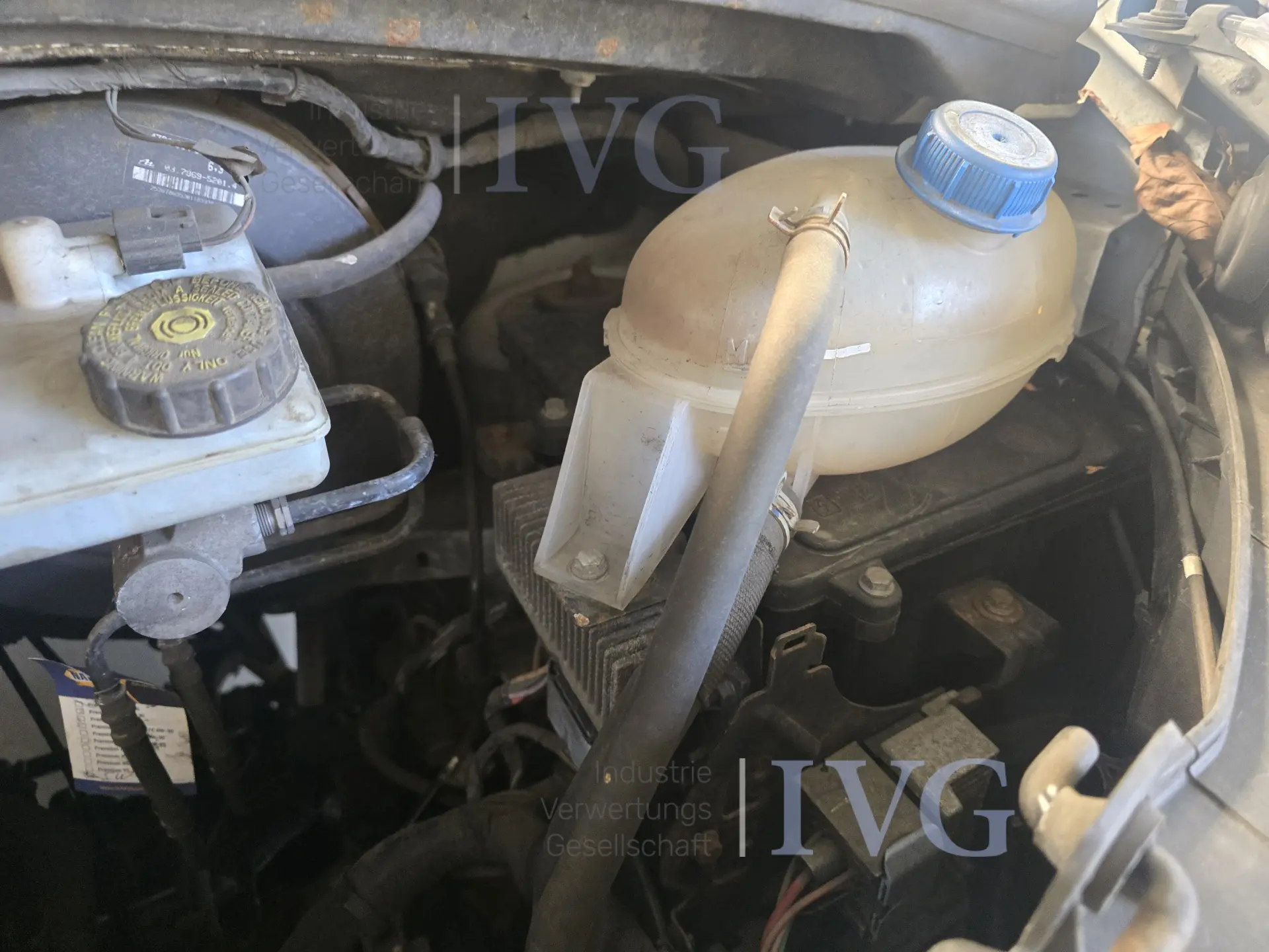 BA geschlossener Kasten RENAULT Master Flexbox 2.3 – foto 7 – kavel bij IVG, Kirchlengern