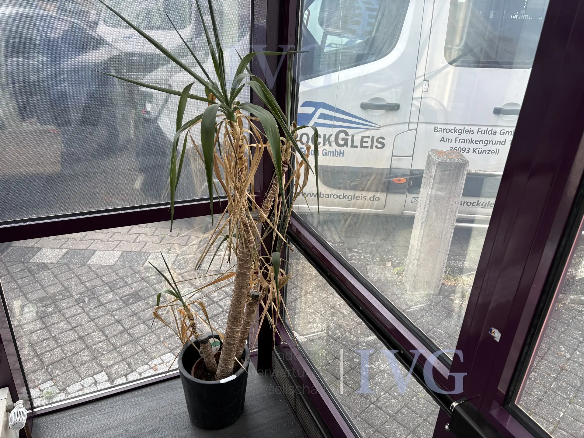 Bild 4