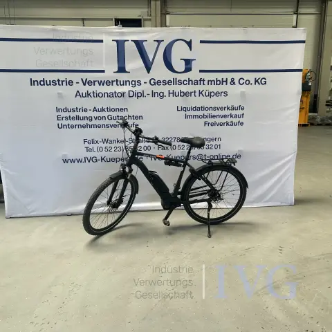 E-Bike FALTER E9.3 SE