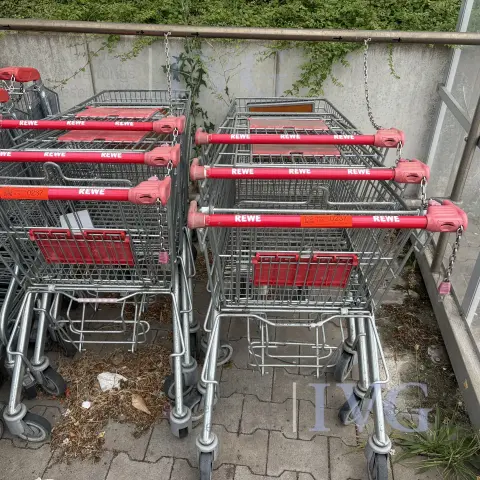 umfangreicher Posten Einkaufswagen