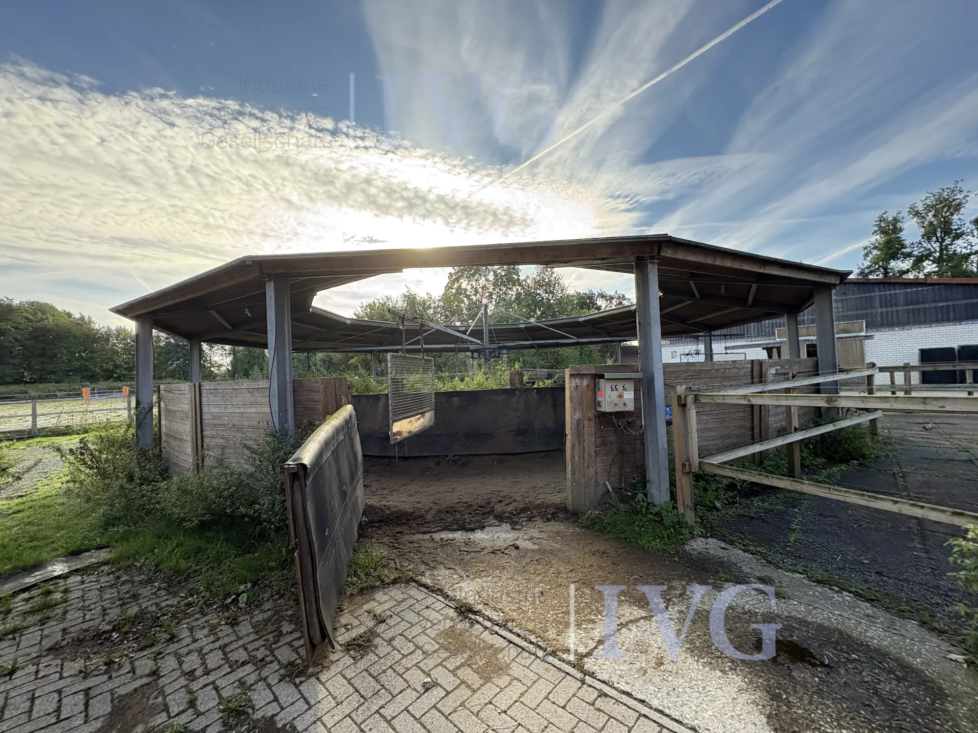 Loopband voor paarden – foto 15 – kavel bij IVG, Glandorf