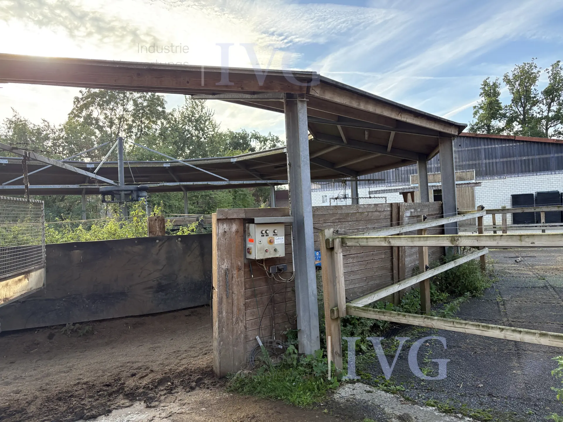 Loopband voor paarden – foto 14 – kavel bij IVG, Glandorf