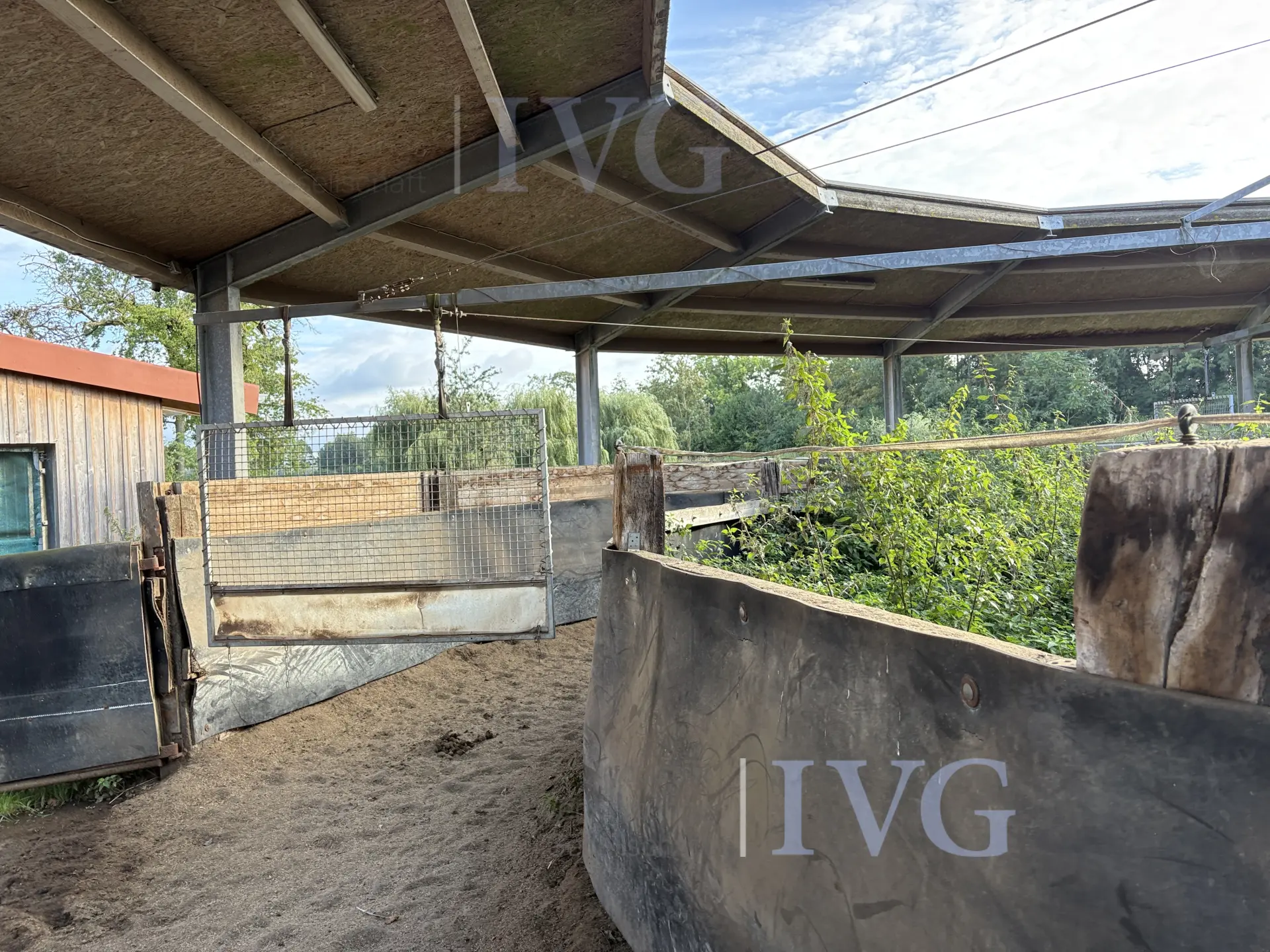 Loopband voor paarden – foto 10 – kavel bij IVG, Glandorf