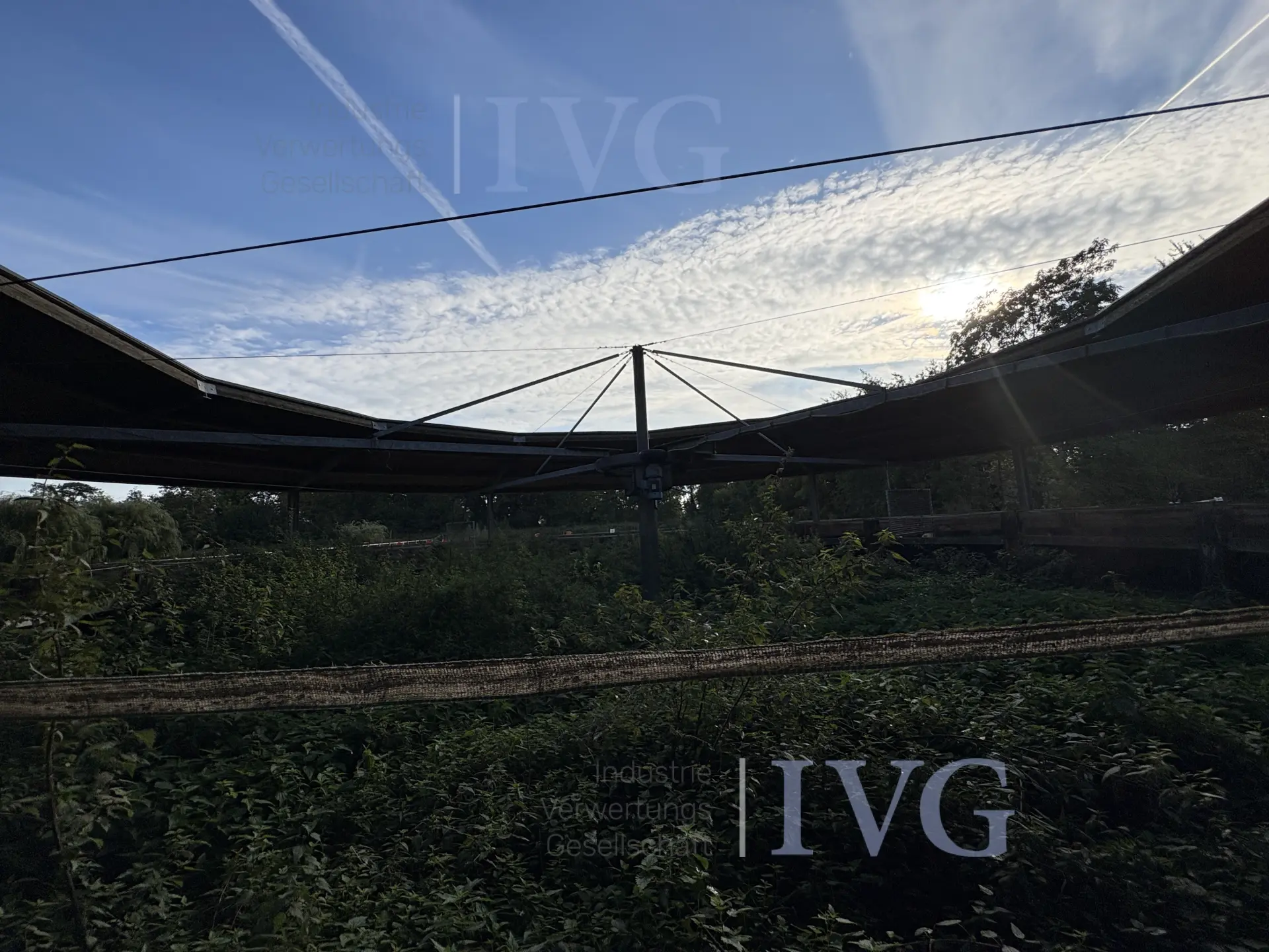 Loopband voor paarden – foto 7 – kavel bij IVG, Glandorf