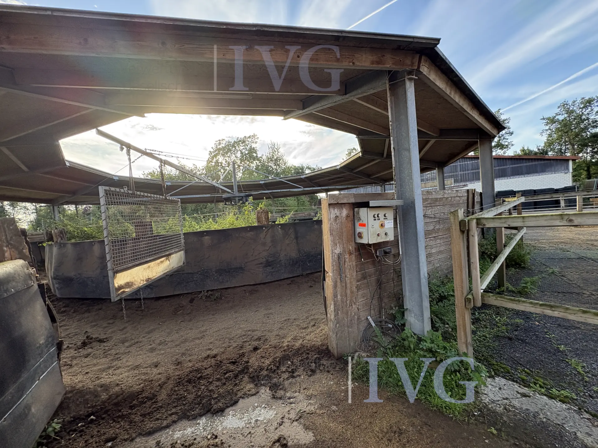 Loopband voor paarden – foto 2 – kavel bij IVG, Glandorf