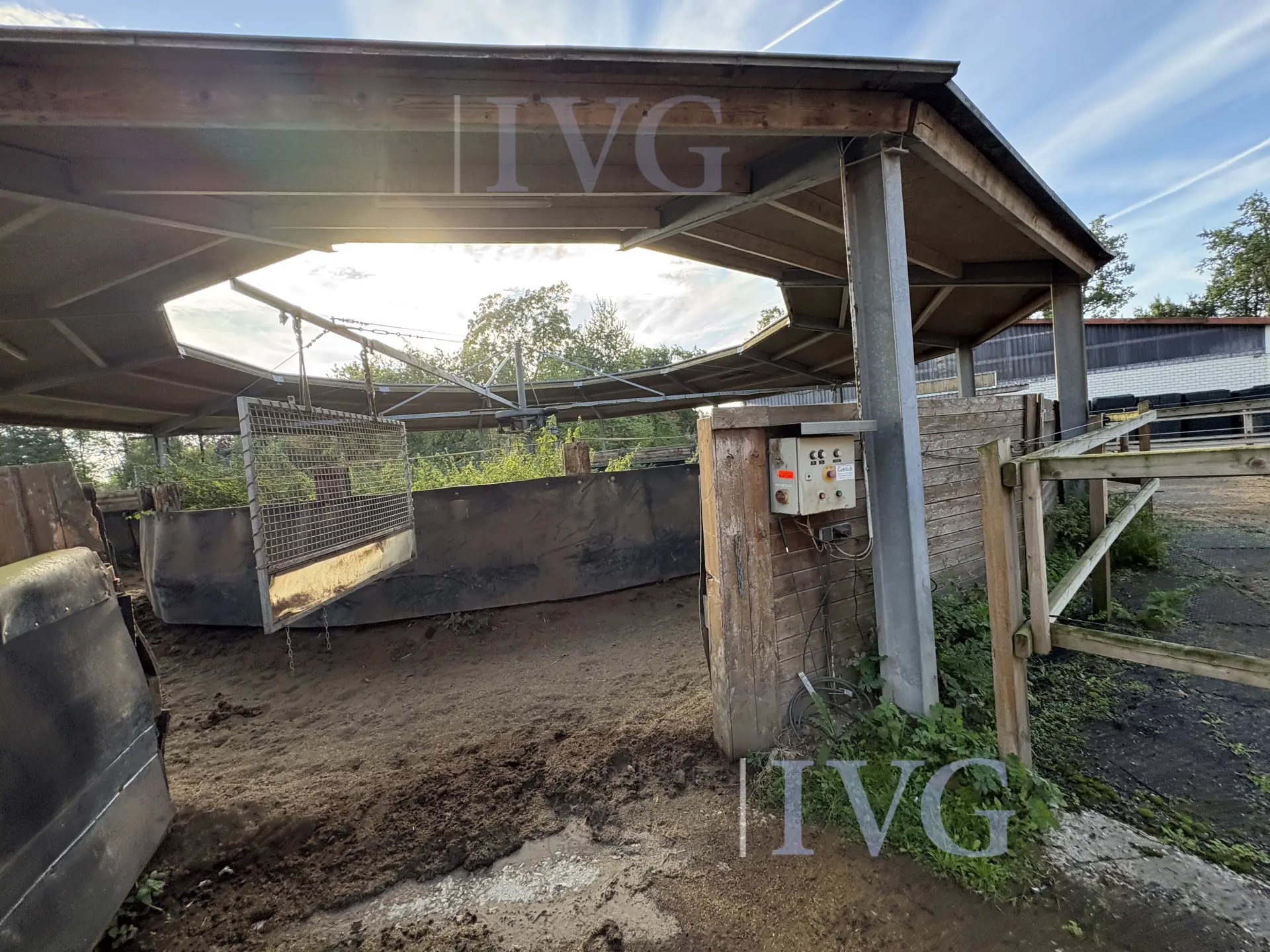 Loopband voor paarden – foto 4 – kavel bij IVG, Glandorf