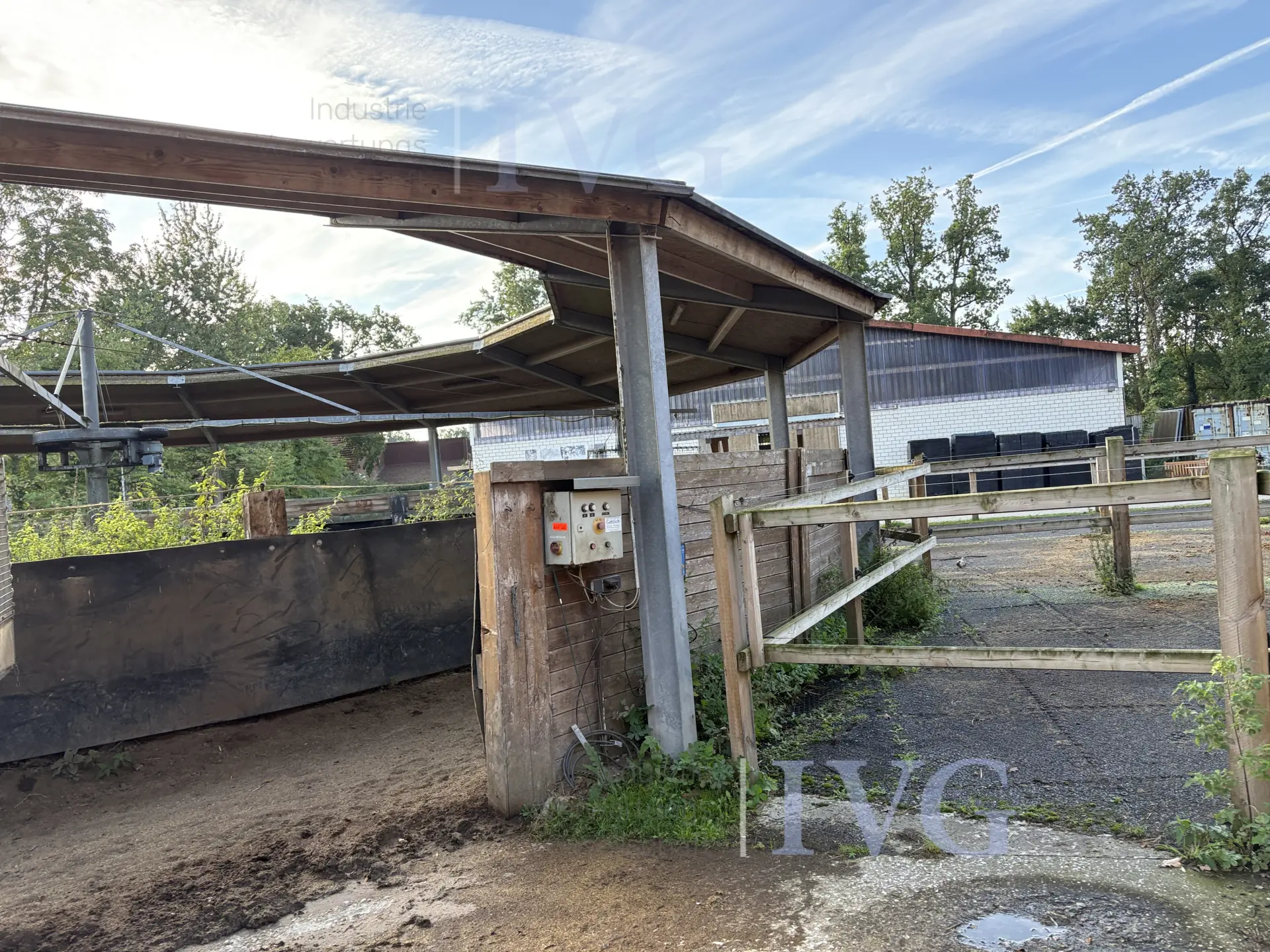 Loopband voor paarden – foto 17 – kavel bij IVG, Glandorf