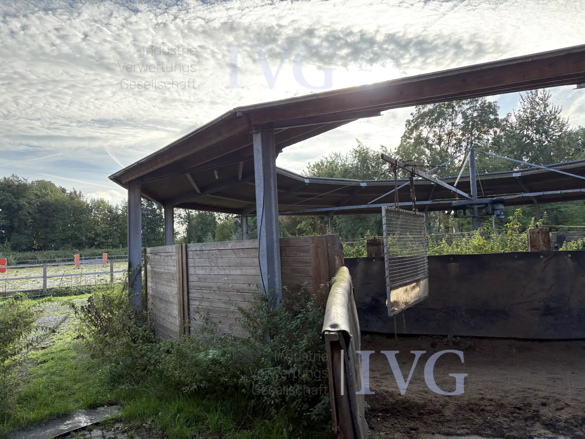 Loopband voor paarden – foto 16 – kavel bij IVG, Glandorf