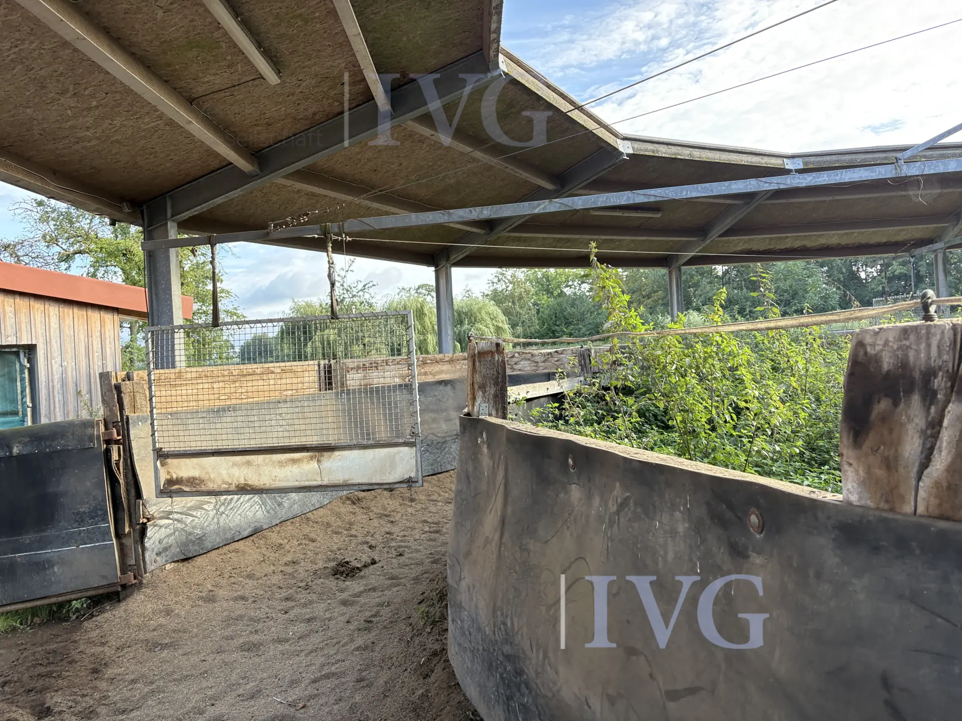 Loopband voor paarden – foto 11 – kavel bij IVG, Glandorf
