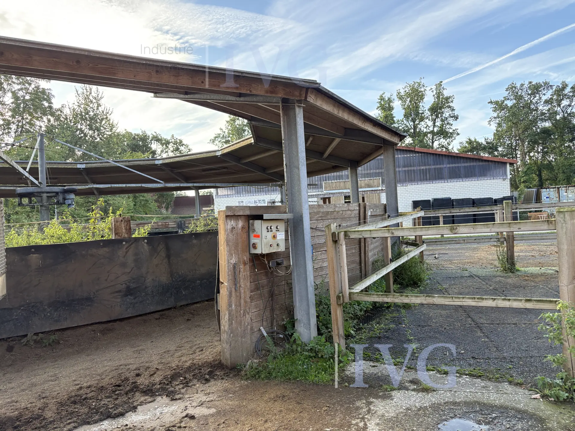 Loopband voor paarden – foto 12 – kavel bij IVG, Glandorf