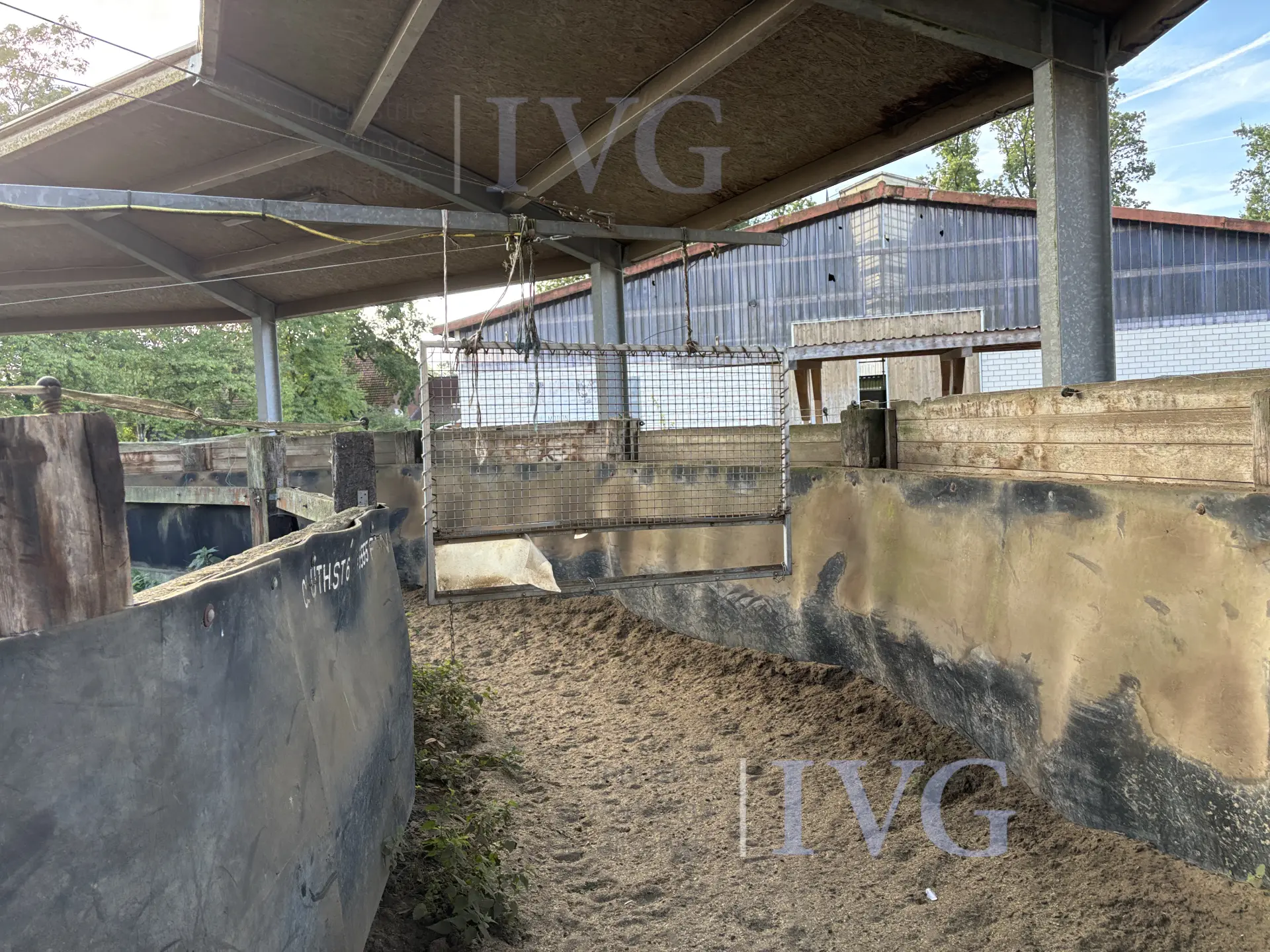 Loopband voor paarden – foto 9 – kavel bij IVG, Glandorf