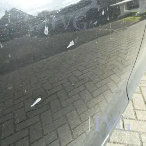 Thumbnail 28