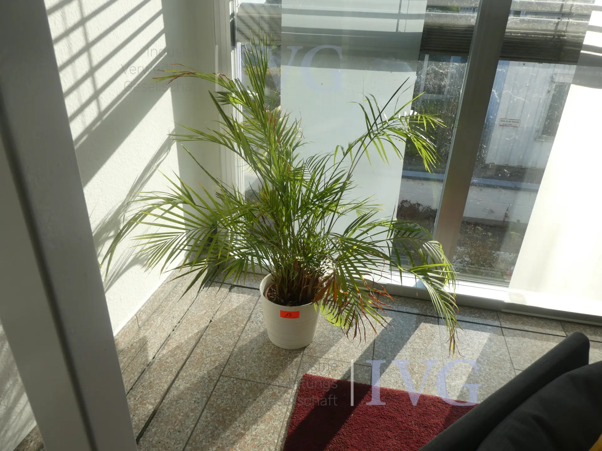 Bild 6