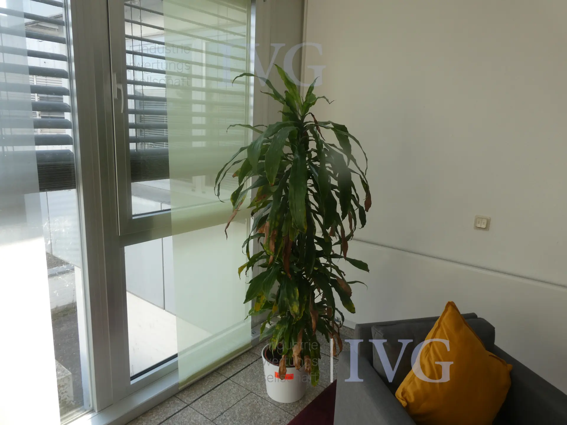 Bild 7