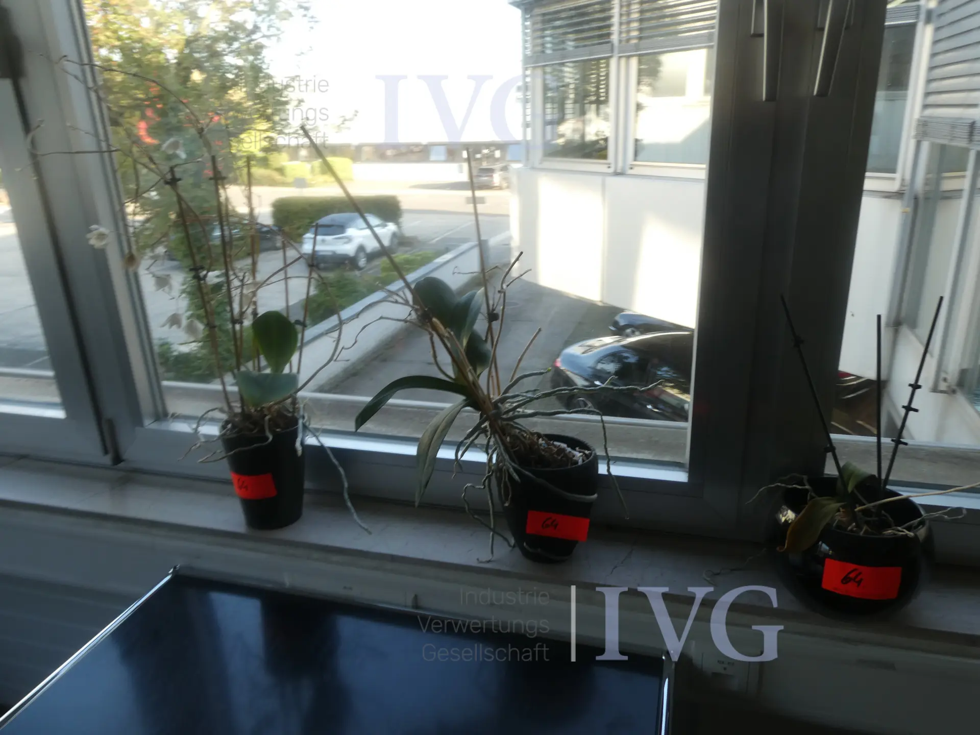 Bild 2